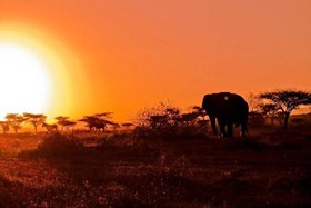 Tour Zuid-Afrika