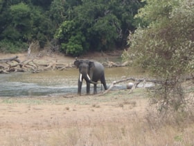 Tour Sri Lanka