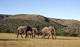 Tour Zuid-Afrika